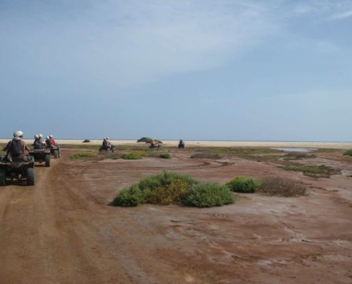 Excursion en Quad par la zone protégée des mines de sel et du cimetière des tortues, les dunes, Kite Beach, la Baie de Ourdira, l’oasis de Algodoeiro et Ponta Preta et Santa Maria