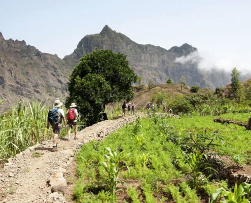 Accompagné d’un guide spécialisé, visite de la vallée de Paùl à travers les cultures de canne-à-sucre, de bananes et de papayes et interaction avec les locaux