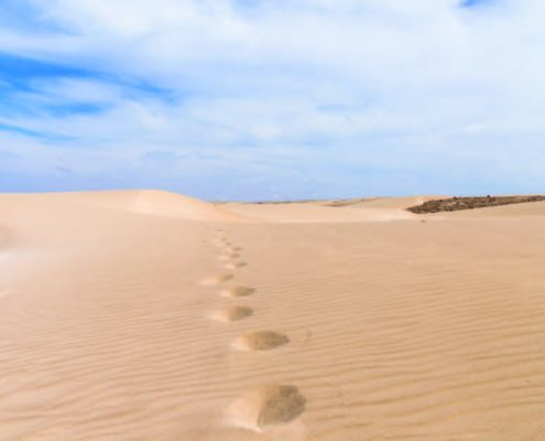 Visite de Boa Vista au Cap-Vert, l’île des dunes, l'île paradisiaque à la vaste étendue de plages considérées parmi les plus belles du monde