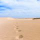 Visite de Boa Vista au Cap-Vert, l’île des dunes, l'île paradisiaque à la vaste étendue de plages considérées parmi les plus belles du monde