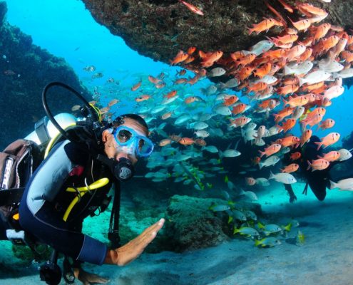Centre Padi situé à Santa Maria, formation pour tout niveau, 3 bateaux, plusieurs sites: 2 épaves, grottes, ancré et barrière de corail