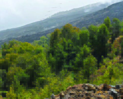 Randonnée de 4 et 5 heures menant à la ville de Mosteiros en passant par le parc naturel de Monte Velha et par la petite communauté de Pai António avec ses plantations de bananes et de café